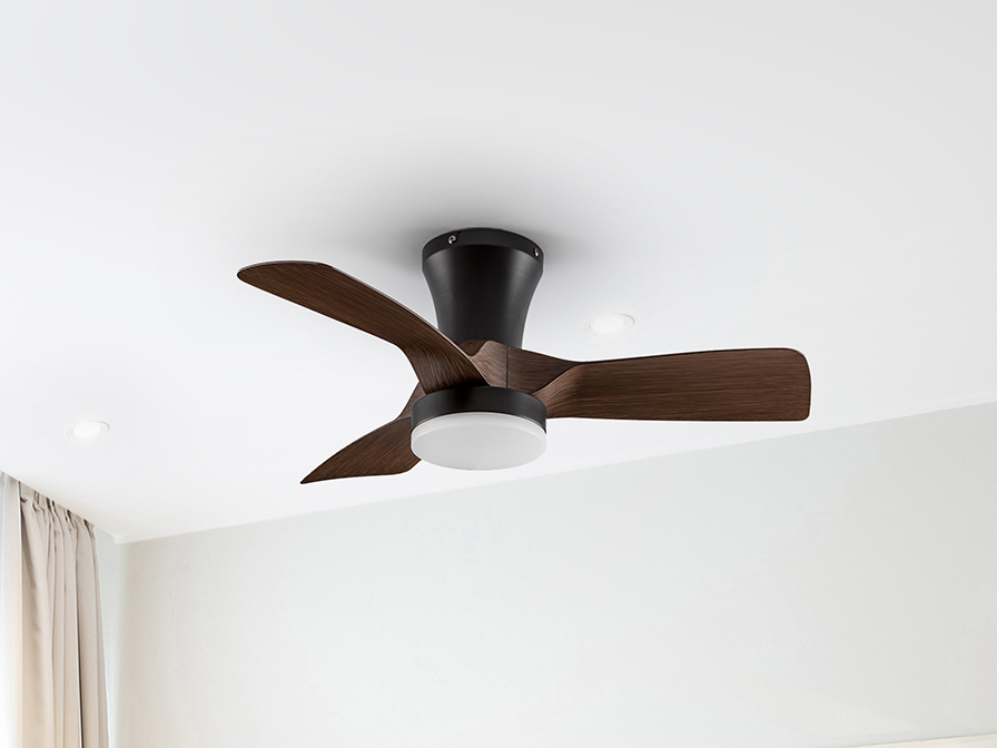 Schuller    279352  POLARIS BLACK/WALNUT FAN