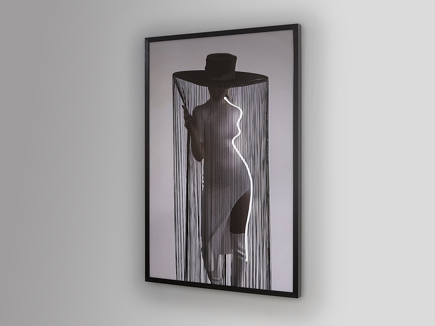 Schuller Decoration,mirrors and.. Paintings with Light Diva 301299  DIVA - LED LIGHT ART 80x120