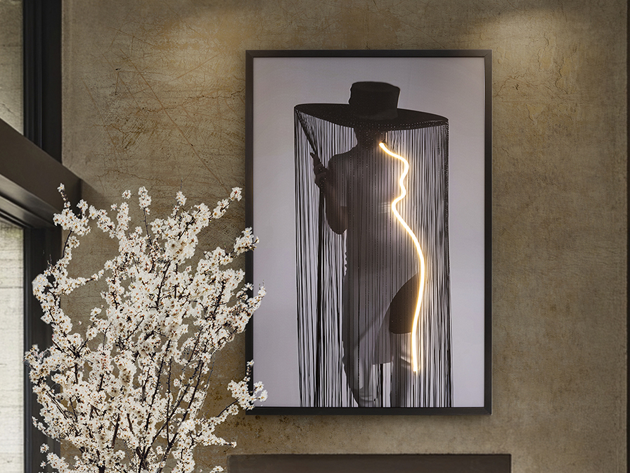 Schuller Decoration,mirrors and.. Paintings with Light Diva 301299  DIVA - LED LIGHT ART 80x120