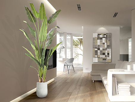 Schuller decoracion plantas artificiales Palma viajero